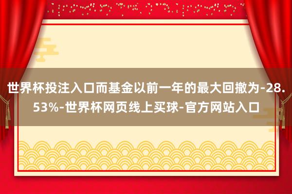 世界杯投注入口而基金以前一年的最大回撤为-28.53%-世界杯网页线上买球-官方网站入口
